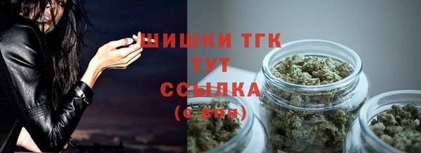 твердый Абаза