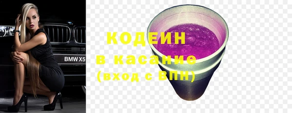 прущие грибы Алзамай