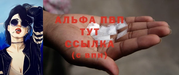 прущие грибы Абинск