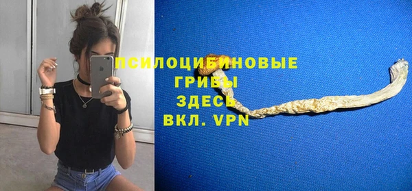 гидропоника Абдулино