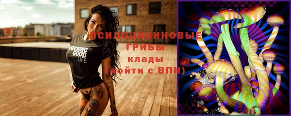 прущие грибы Абинск