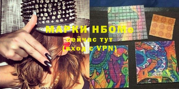 прущие грибы Абинск