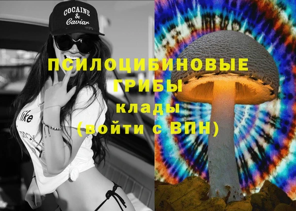 гидропоника Абдулино