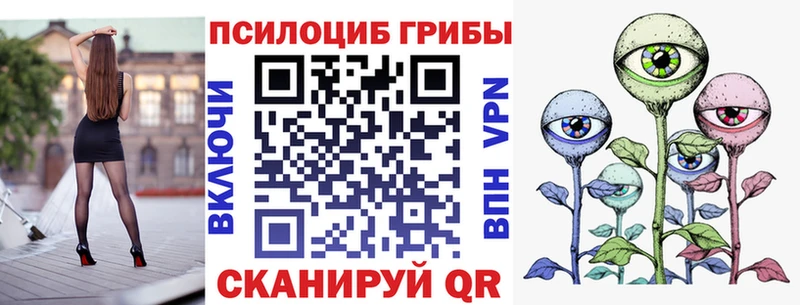 Галлюциногенные грибы Psilocybine cubensis  omg как войти  Пошехонье 